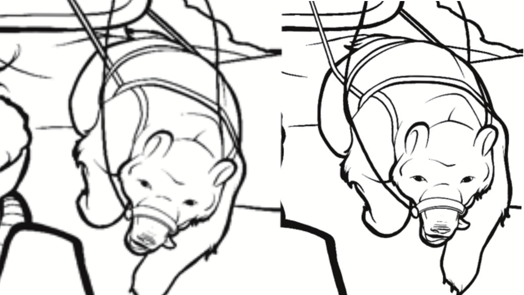 Two versions of a black and white inked polar bear in some kind of harness. Art by mrlich.