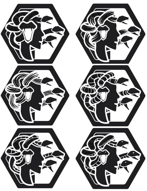 A set of six variants on one selected base image for medusa.